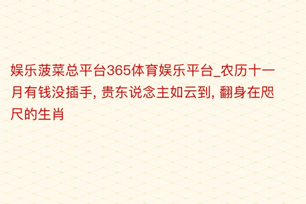 娱乐菠菜总平台365体育娱乐平台_农历十一月有钱没插手, 贵东说念主如云到, 翻身在咫尺的生肖